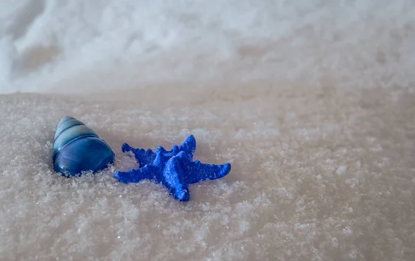 Crafted blue starfish and blue snail shell in fresh snow