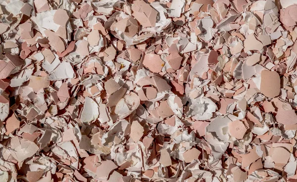 ezilmiş yumurta kabukları Soyut doku arka plan