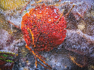 Sonbahar Kış konsepti değiştirme