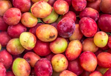 Arka plan olarak taze kırmızı mirabelle