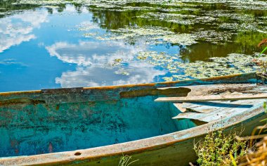 Yeşil duckweed sümük ve bataklık - doğa arka plan teknede