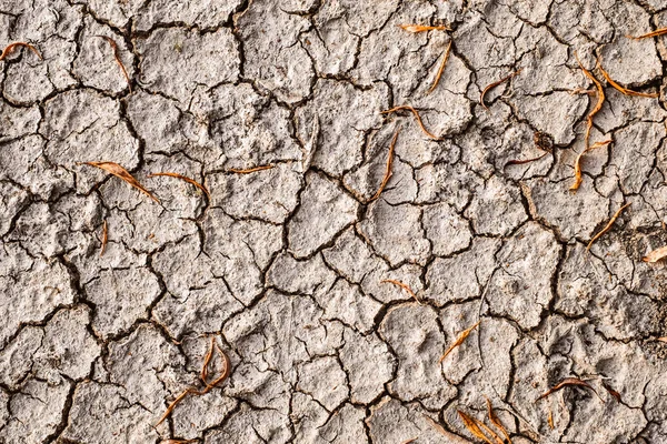 Fond de sable fissuré sec avec feuilles sèches — Photo