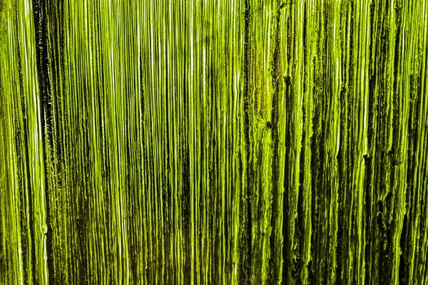 화이트 보드에 새 녹색 페인트 — 스톡 사진