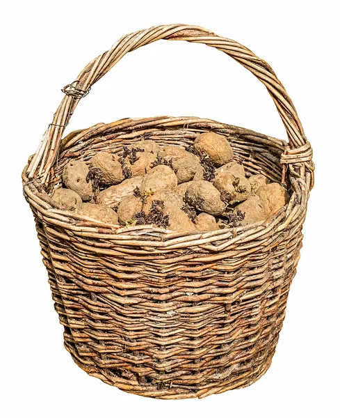 Жареный картофель в старой плетеной корзине — стоковое фото