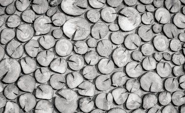 Modern ahşap sanat yaratıcı dekorasyon siyah ve beyaz