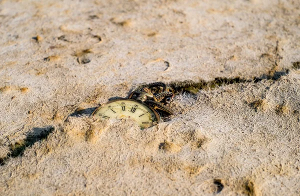 Old Pocket Watch Cracked Glass Partially Buried Dried Seaweed — Stock Photo, Image