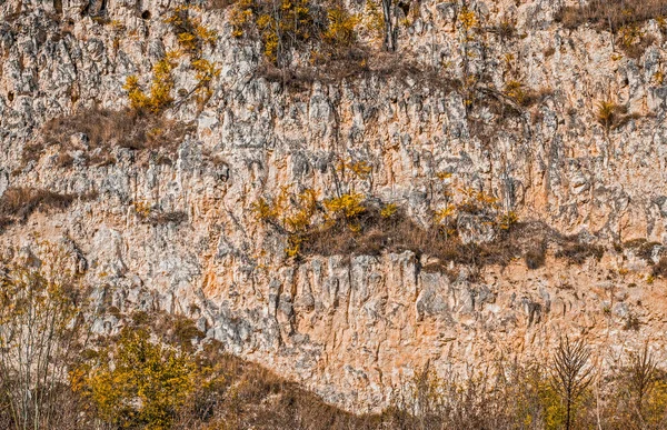 Mur Falaise Orange Avec Des Grappes Verdure Dans Les Couleurs — Photo