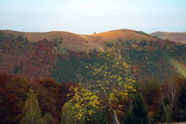 秋の山 — ストック写真