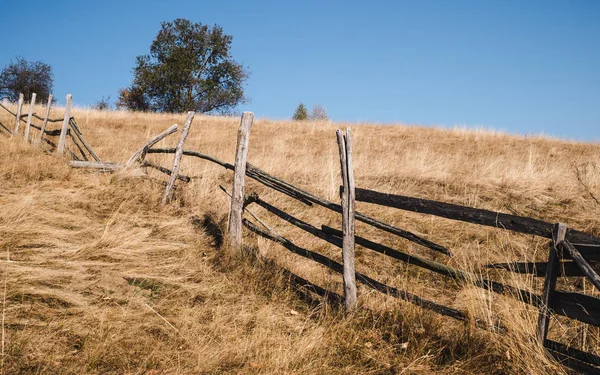 Vahşi doğada hasar görmüş eski ahşap çitler.