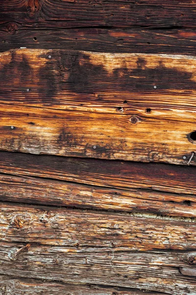 Termity jedzą stare i zbutwiałe desek — Zdjęcie stockowe