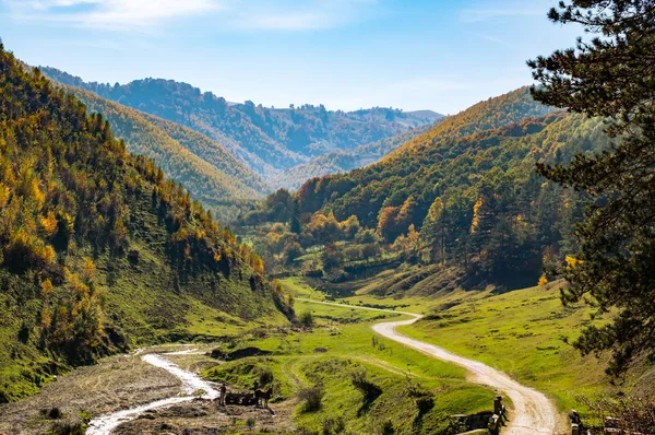 Droga między jesiennymi wzgórzami — Zdjęcie stockowe