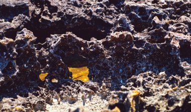 Kıyı şeridi boyunca lav kayaları