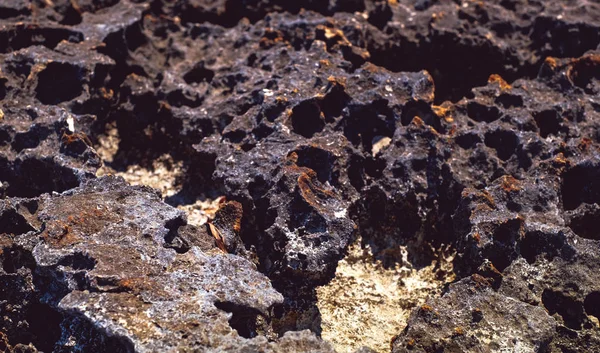 lava rock along the coastline