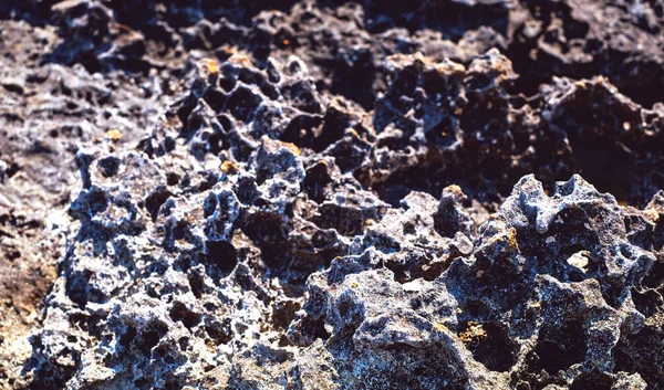 Rocha de lava ao longo da costa — Fotografia de Stock