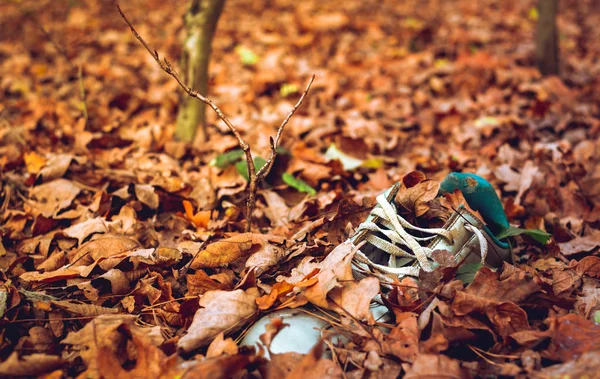 Fehér tornacipő kidobott őszi levelek — Stock Fotó