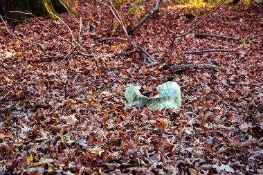 Sonbahar ormanına bırakılmış kirli bir plastik şişe.
