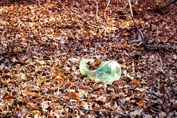 В осеннем лесу осталась грязная пластиковая бутылка. — стоковое фото