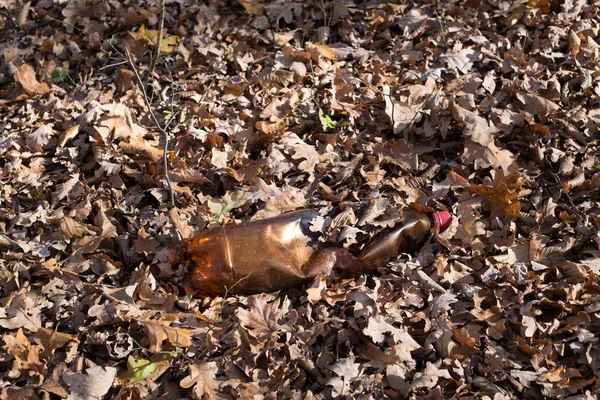 Een vuile plastic fles achtergelaten in het herfstbos — Stockfoto