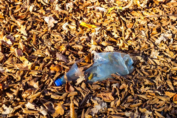 Ένα βρώμικο πλαστικό μπουκάλι αριστερά στο δάσος του φθινοπώρου — Φωτογραφία Αρχείου