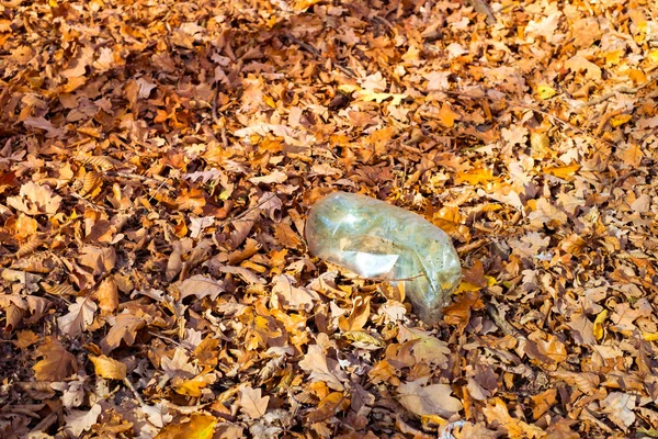 Uma garrafa de plástico sujo deixada na floresta de outono — Fotografia de Stock