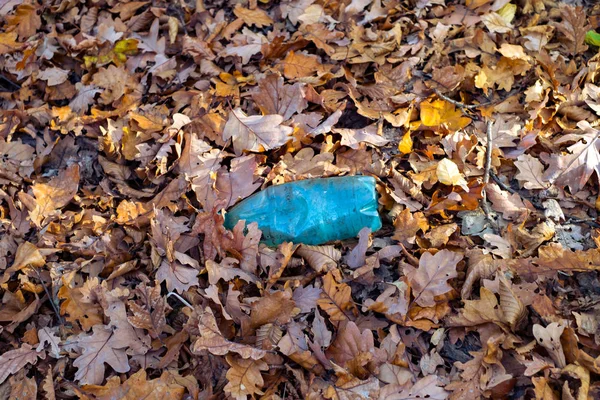 Uma garrafa de plástico sujo deixada na floresta de outono — Fotografia de Stock