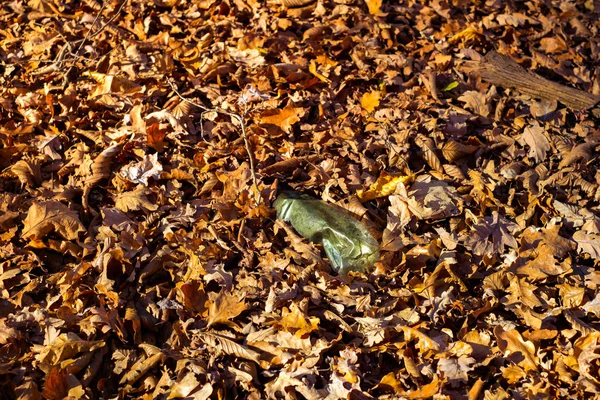 Брудна пластикова пляшка залишилася в осінньому лісі — стокове фото