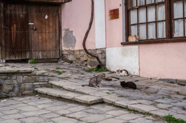 geleneksel Bulgar mimari