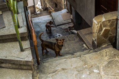 geleneksel Bulgar mimari