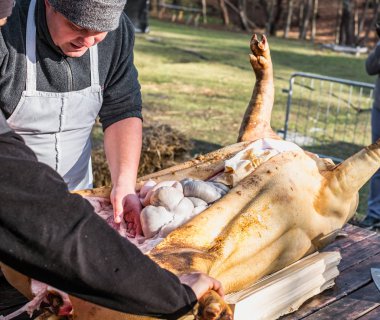 Kasaplar bir domuzu katlediyor.