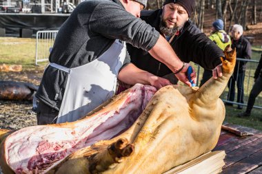 Kasaplar bir domuzu katlediyor.