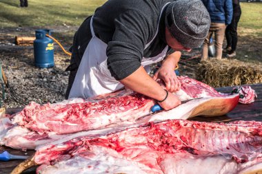 Kasaplar bir domuzu katlediyor.