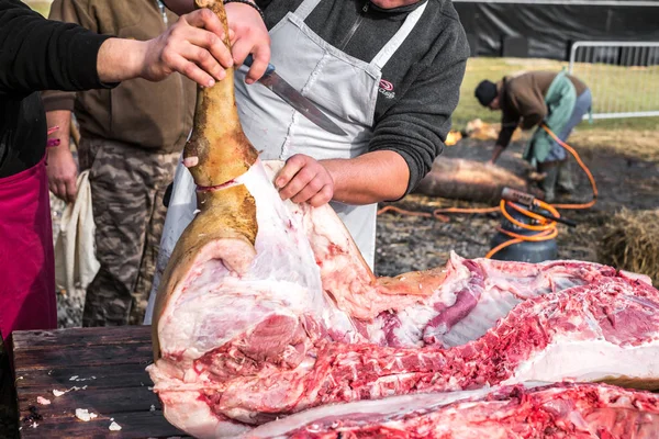 Butchers slaughtering a pig — Stock Photo, Image