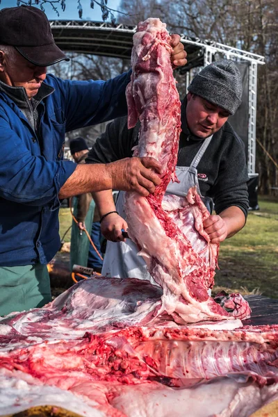 Butchers slaughtering a pig — Stock Photo, Image