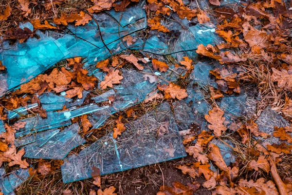 Разбитое стекло среди листьев — стоковое фото