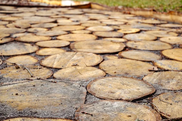 Beautiful walkway made of round slices of a tree trunk — Stock Photo, Image