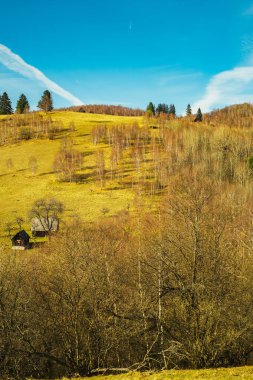 Rumen koyun ağılı sonbahar mevsiminde tepede