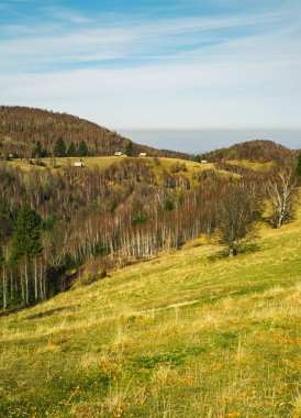 Rumen koyun ağılı sonbahar mevsiminde tepede