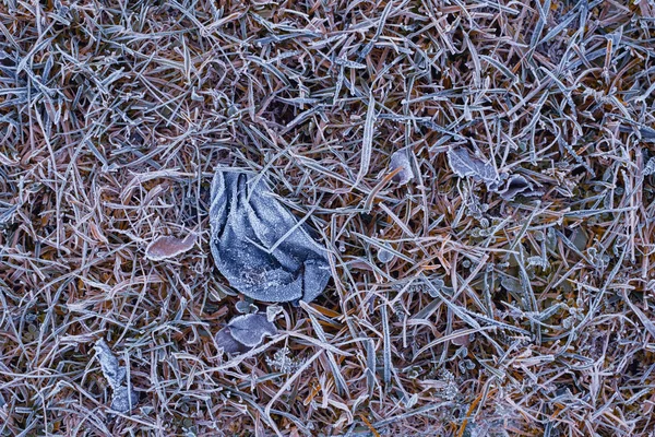 Winterfrost auf Laub und Gras Hintergrund — Stockfoto