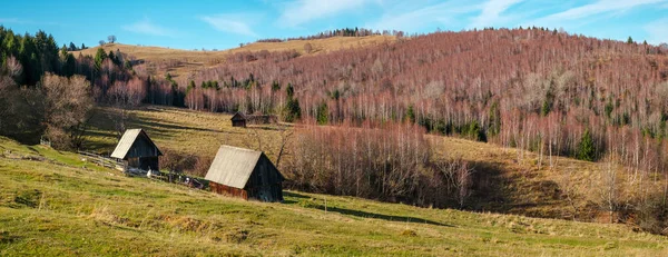 Rumänska gamla fårfålla på kullen under höstsäsongen — Stockfoto