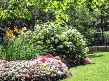 Modern ve eski tarihi binalarla New York sokak manzarası