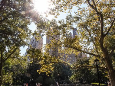 Modern ve eski tarihi binalarla New York sokak manzarası