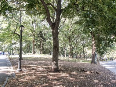 Modern ve eski tarihi binalarla New York sokak manzarası