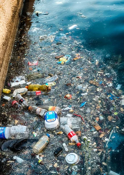 Şehirdeki çöplük deniz kıyısı