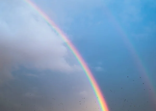 Doppelter Regenbogen am Himmel mit Wolken und Vögeln — Stockfoto