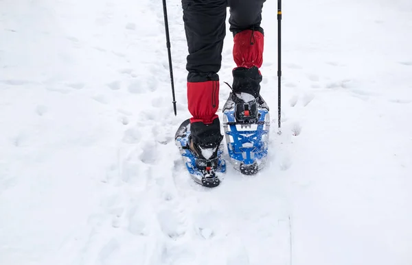 Man in snowshoes with trekking poles is the snow in the forest — Stock Photo, Image