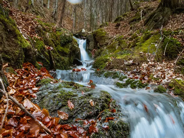 Liten Vattenfall Djup Skog — Stockfoto