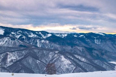 Romanya 'nın Cindrel dağlarında kış, Magura zirvesi, 1304 metre