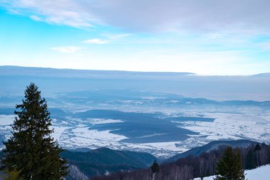 Romanya 'nın Cindrel dağlarında kış, Magura zirvesi, 1304 metre