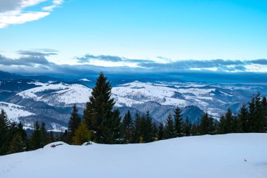 Romanya 'nın Cindrel dağlarında kış, Magura zirvesi, 1304 metre
