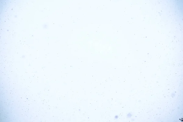 Winter Sky Falling Snow — Stock Photo, Image
